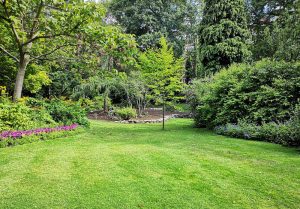 Optimiser l'expérience du jardin à Goutrens
